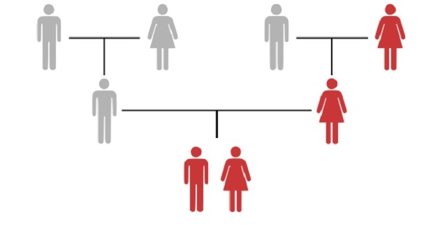 mtDNA inheritance illustration