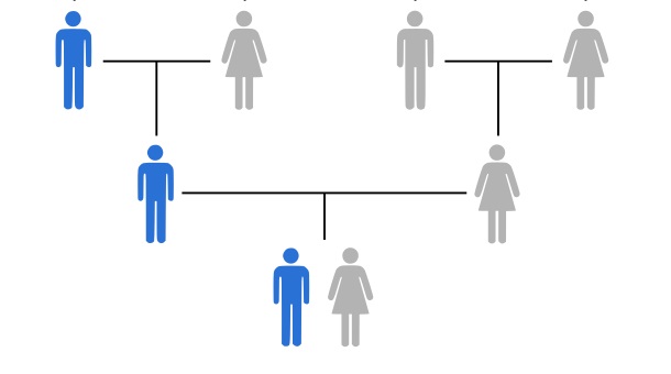 Y-DNA inheritance illustration